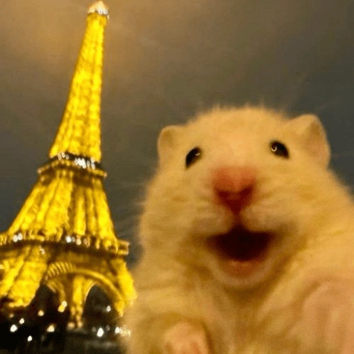 Figurinha de Hamster 🐹 (5 de 12)