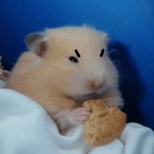 Figurinha de Hamster 🐹 (6 de 12)
