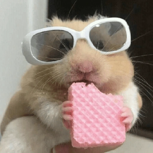 Figurinha de Hamster 🐹 (8 de 12)
