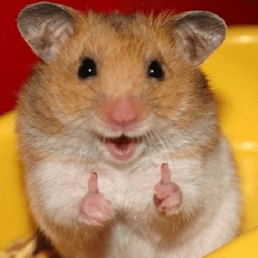 Figurinha de Hamster 🐹 (12 de 12)