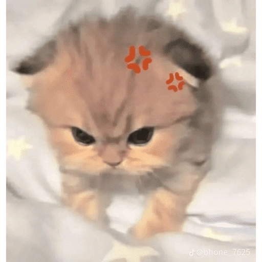 Figurinha de KUCING ANGRY😡😡 (2 de 12)