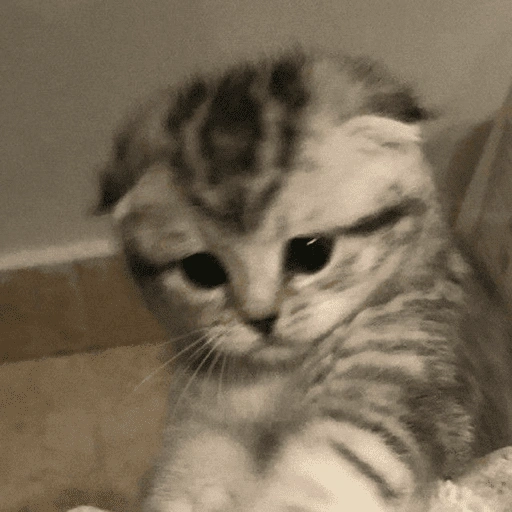 Figurinha de KUCING ANGRY😡😡 (10 de 12)