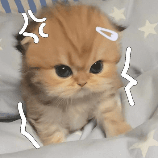 Figurinhas de KUCING ANGRY😡😡 para WhatsApp