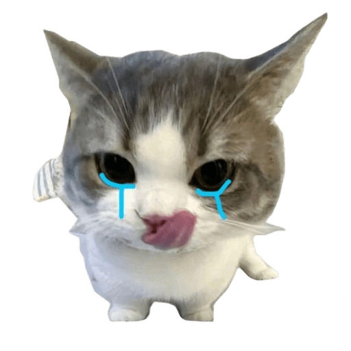 Figurinha de kucing uia cat 🐈 para WhatsApp (2 de 15)