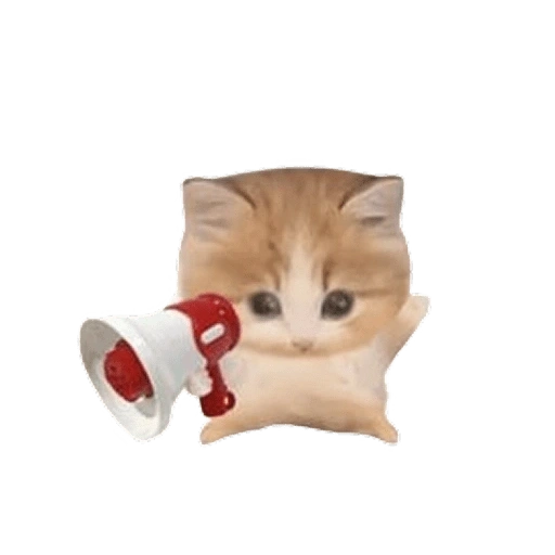 Figurinha de kucing uia cat 🐈 para WhatsApp (4 de 15)