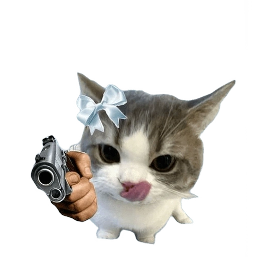 Figurinha de kucing uia cat 🐈 para WhatsApp (6 de 15)