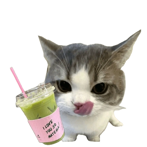 Figurinha de kucing uia cat 🐈 para WhatsApp (10 de 15)