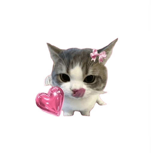 Figurinha de kucing uia cat 🐈 para WhatsApp (12 de 15)