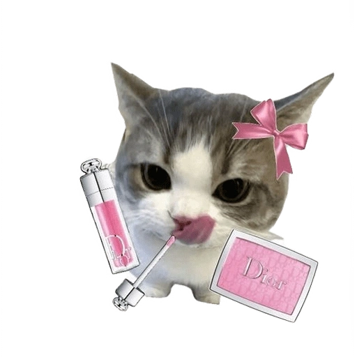 Figurinha de kucing uia cat 🐈 para WhatsApp (13 de 15)