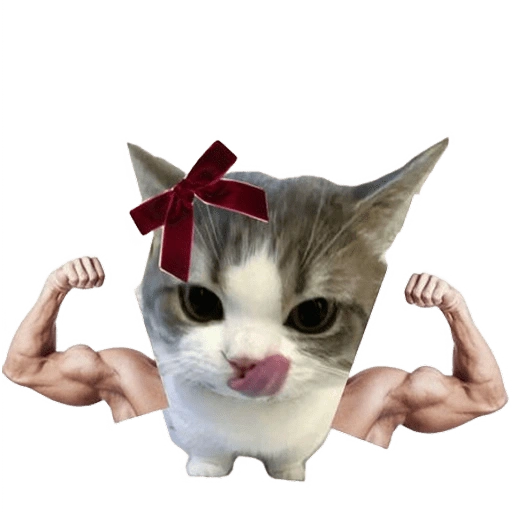 Figurinha de kucing uia cat 🐈 para WhatsApp (14 de 15)
