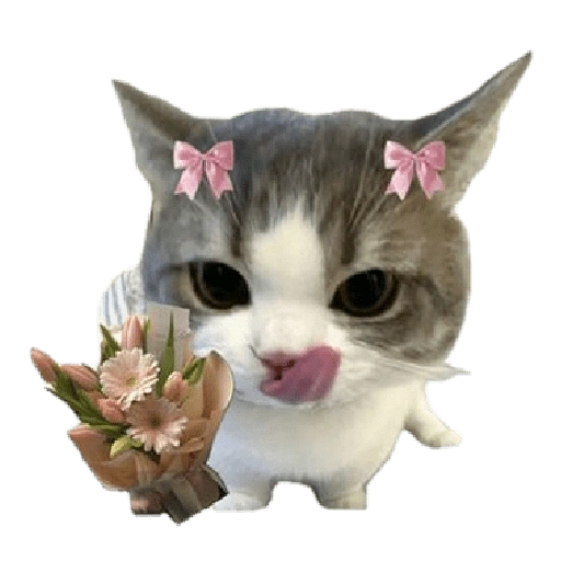 Figurinha de kucing uia cat 🐈 para WhatsApp (15 de 15)