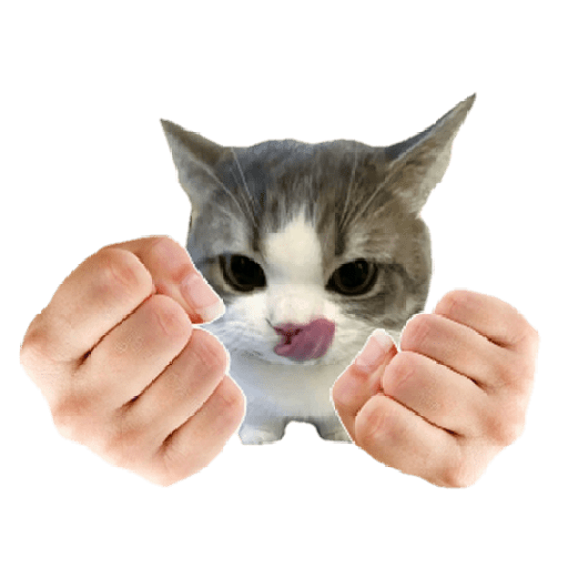 Figurinhas de kucing uia cat 🐈 para WhatsApp
