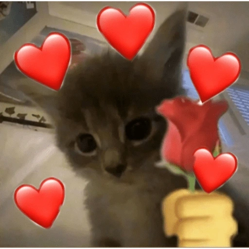 Figurinha de Love cat. | @ocenferios  𝐇aki. para WhatsApp (5 de 9)