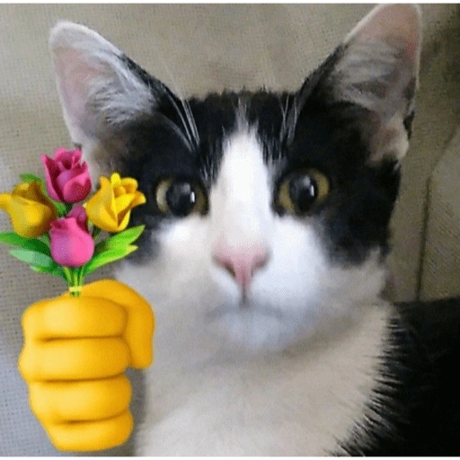 Figurinha de Love cat. | @ocenferios  𝐇aki. para WhatsApp (6 de 9)