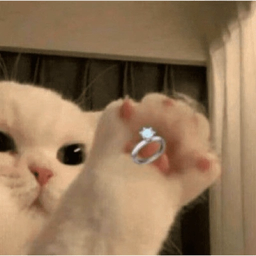 Figurinha de Love cat. | @ocenferios  𝐇aki. para WhatsApp (8 de 9)