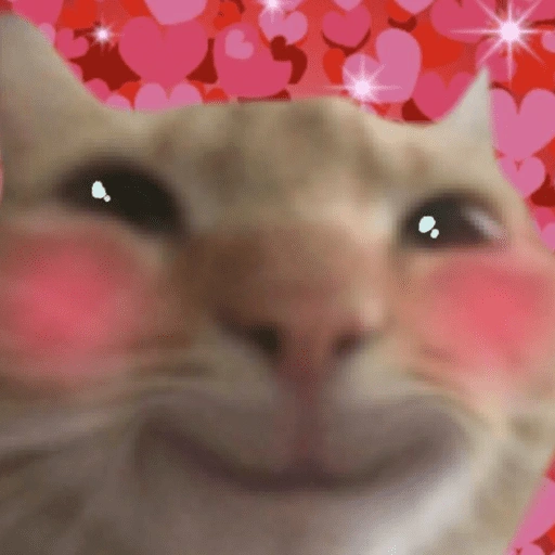 Figurinha de Love cat. | @ocenferios  𝐇aki. para WhatsApp (9 de 9)