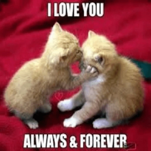 Figurinha de love you para WhatsApp (6 de 30)