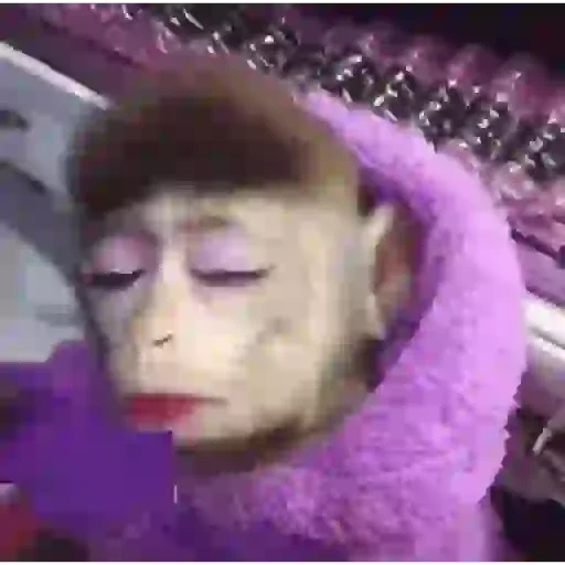 Figurinha de Macaco para WhatsApp (13 de 14)