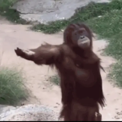 Figurinhas de Macaco para WhatsApp
