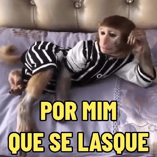 Figurinha de MACACO ENGRAÇADINHO 🐵 para WhatsApp (2 de 16)