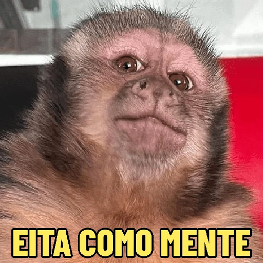Figurinha de MACACO ENGRAÇADINHO 🐵 para WhatsApp (9 de 16)