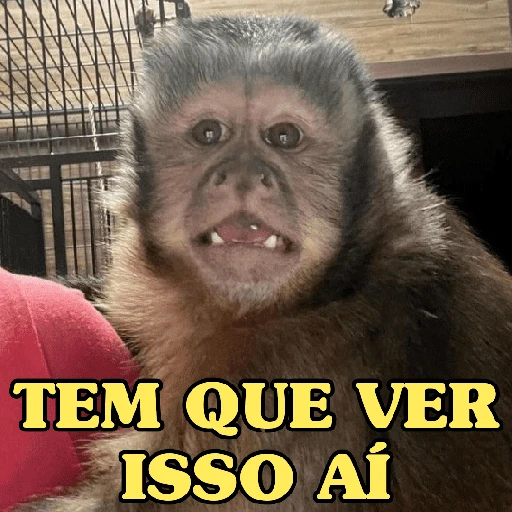 Figurinha de MACACO ENGRAÇADINHO 🐵 para WhatsApp (14 de 16)