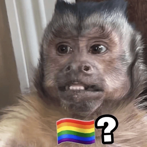 Figurinha de Macaco Fofo Reações 🐵 para WhatsApp (9 de 15)