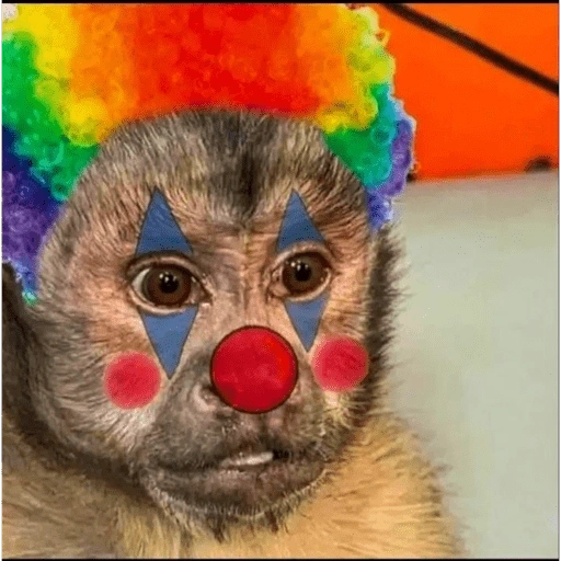 Figurinha de Macaco Fofo Reações 🐵 para WhatsApp (10 de 15)