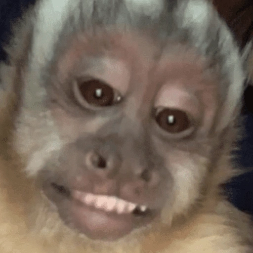 Figurinha de Macaco Fofo Reações 🐵 para WhatsApp (12 de 15)