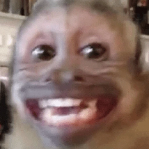 Figurinha de Macaco (2 de 18)