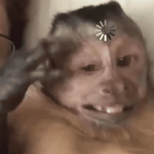 Figurinha de Macaco (10 de 18)