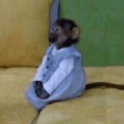 Figurinha de Macaco (11 de 18)
