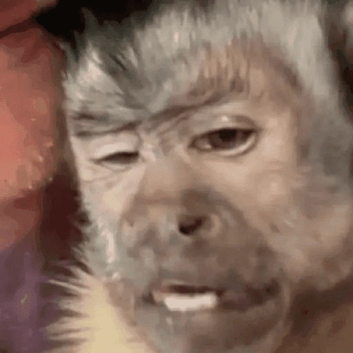 Figurinha de Macaco (15 de 18)