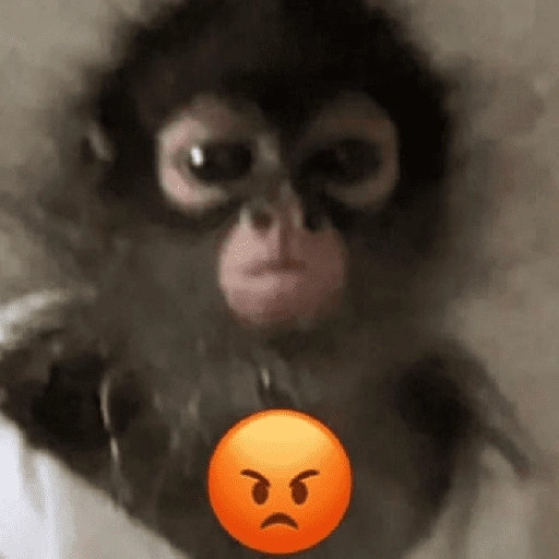 Figurinha de Macaco (17 de 18)