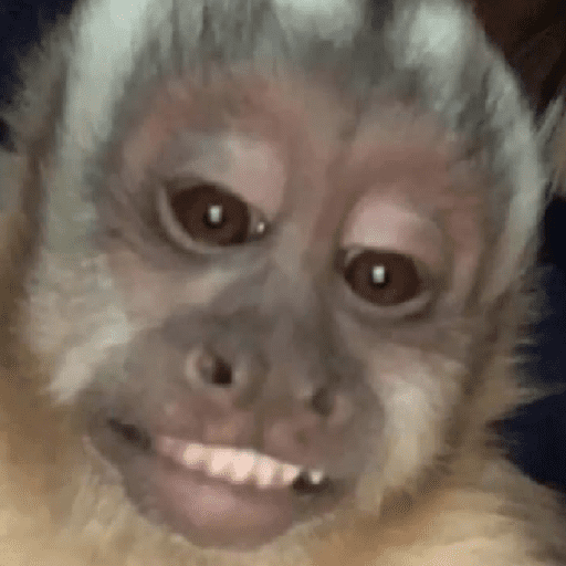 Figurinhas de Macaco para WhatsApp