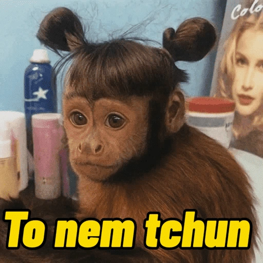 Figurinha de Macacos Memes (2 de 13)