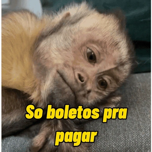Figurinha de Macacos Memes (5 de 13)