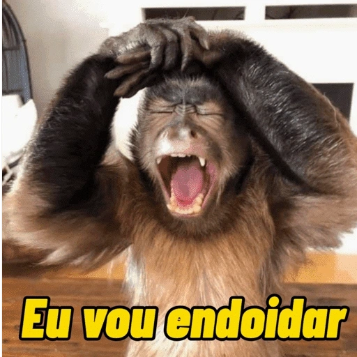 Figurinha de Macacos Memes (6 de 13)