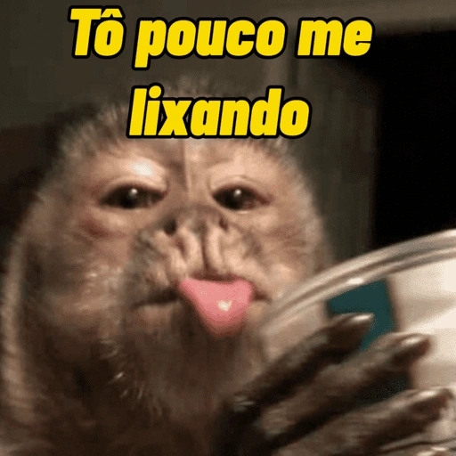 Figurinha de Macacos Memes (10 de 13)