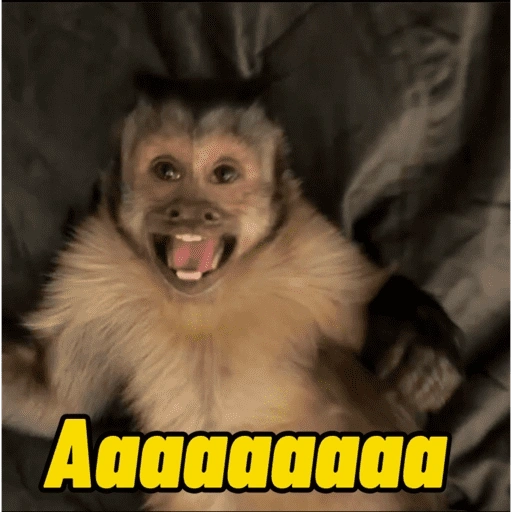 Figurinha de Macacos Memes (13 de 13)