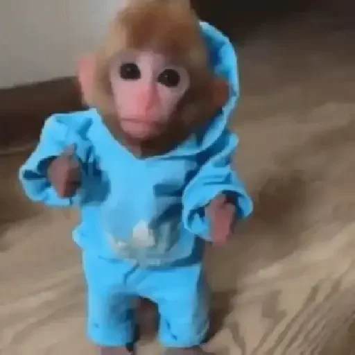 Figurinha de Macaquinhos animados 🐒 para WhatsApp (7 de 15)
