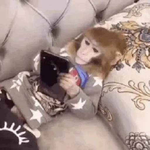 Figurinha de Macaquinhos animados 🐒 para WhatsApp (9 de 15)