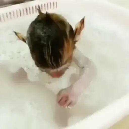 Figurinha de Macaquinhos animados 🐒 para WhatsApp (11 de 15)