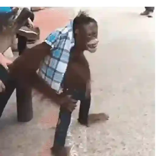 Figurinha de Macaquinhos animados 🐒 para WhatsApp (14 de 15)