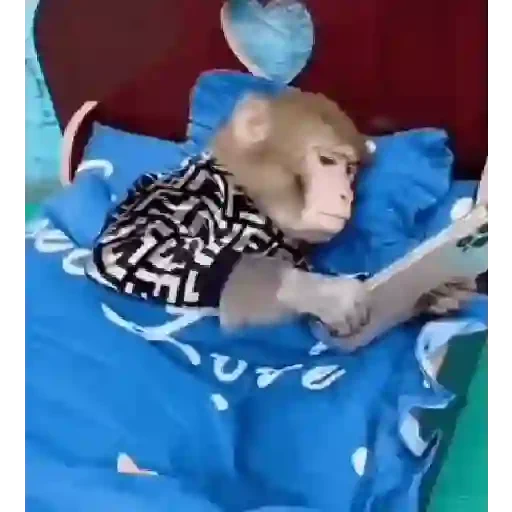 Figurinha de Macaquinhos animados 🐒 para WhatsApp (15 de 15)