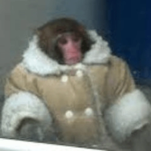 Figurinha de Macaquinhos + frio (3 de 16)