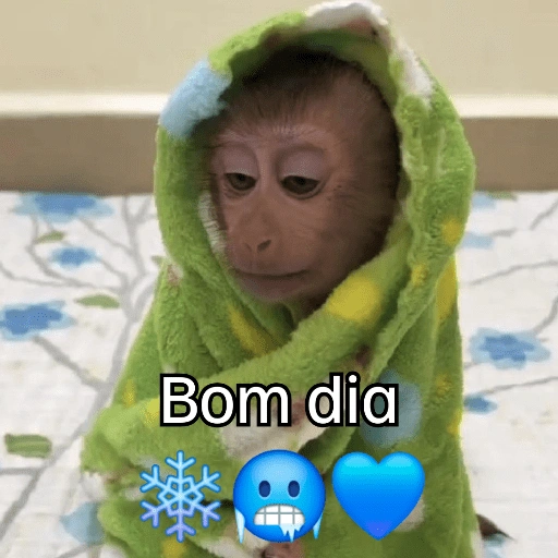 Figurinha de Macaquinhos + frio (5 de 16)
