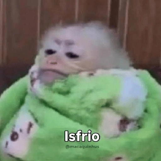 Figurinha de Macaquinhos + frio (7 de 16)