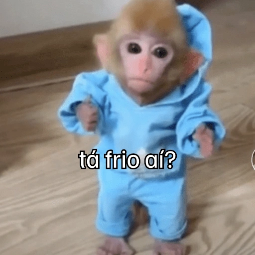 Figurinha de Macaquinhos + frio (8 de 16)