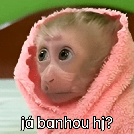 Figurinha de Macaquinhos + frio (9 de 16)